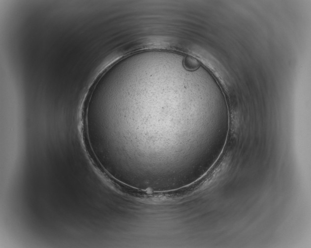 X0000102461042200808151403