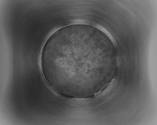 X0000102461043200808151403