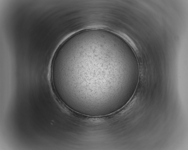 X0000102461044200808151403