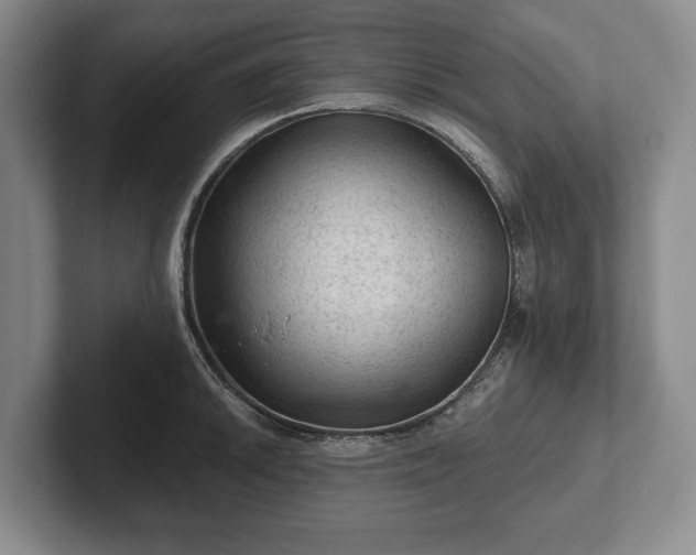 X0000102461046200808151403