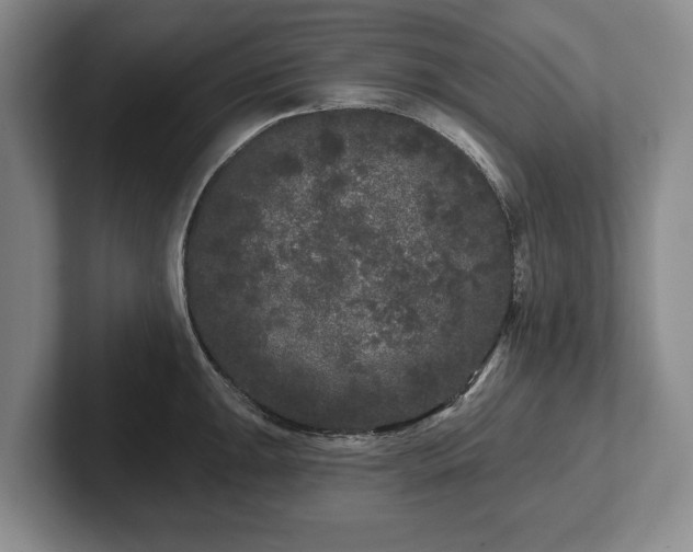 X0000102461047200808151403