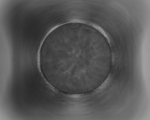 X0000102461048200808151403