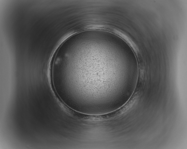 X0000102461050200808151403