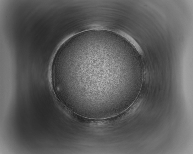 X0000102461051200808151403