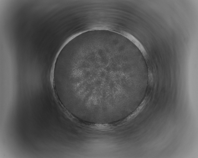 X0000102461052200808151403