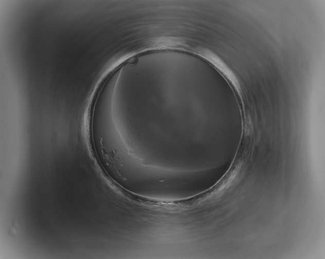 X0000102461053200808151403