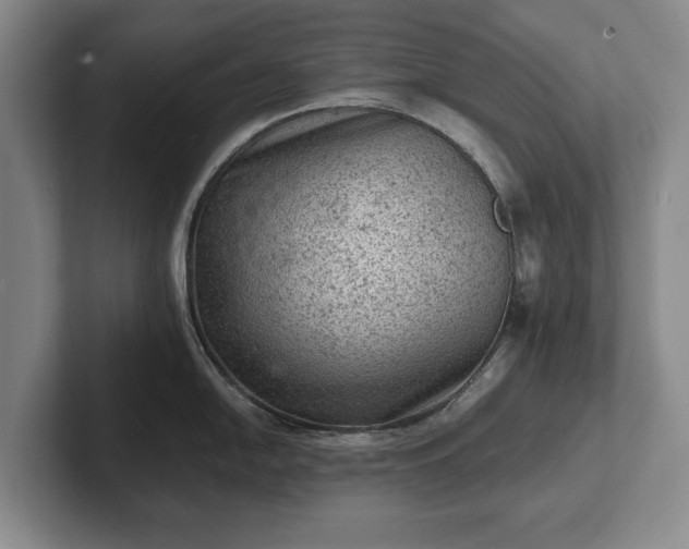 X0000102461054200808151403