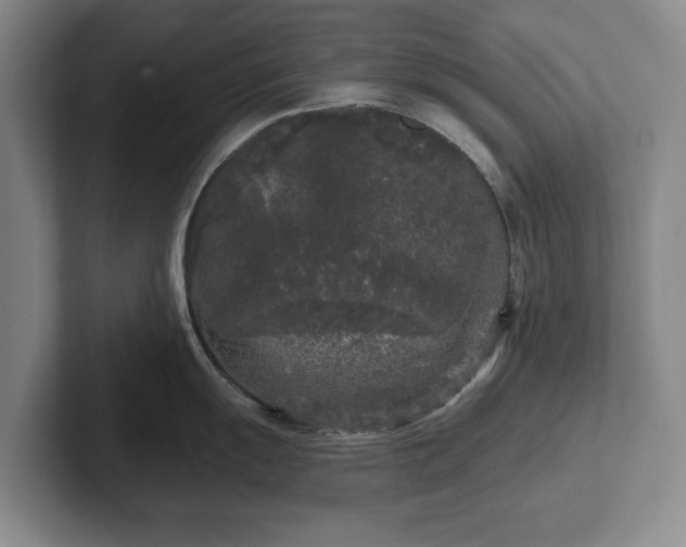 X0000102461055200808151403