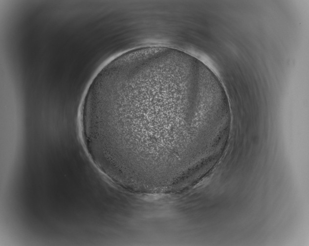 X0000102461056200808151403