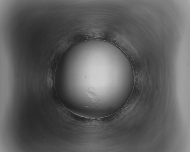 X0000102461058200808151403