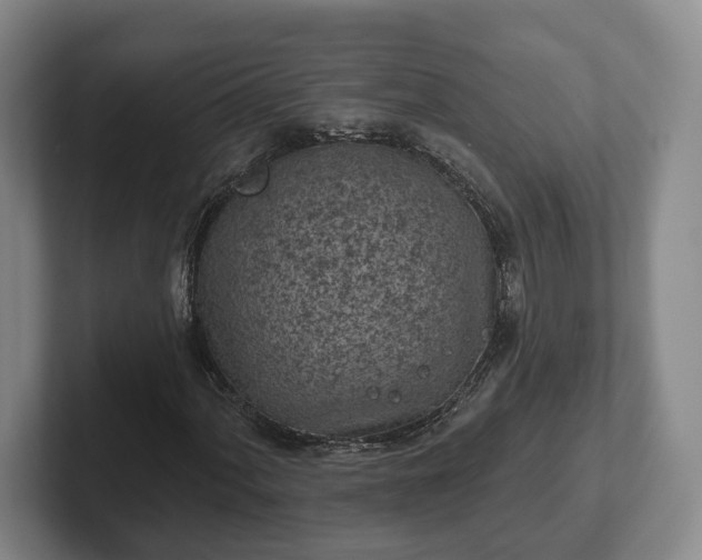 X0000102461060200808151403