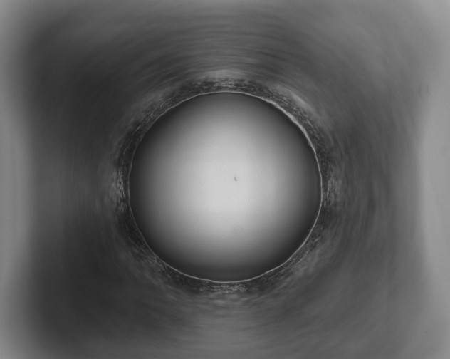 X0000102461062200808151403