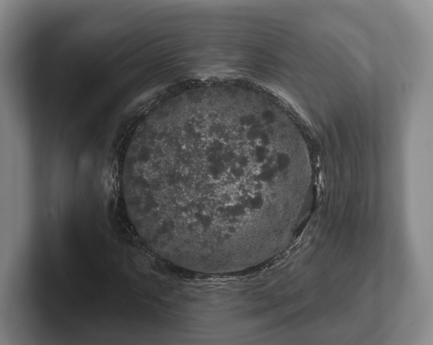 X0000102461063200808151403