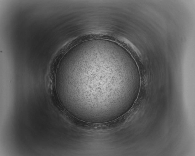 X0000102461064200808151403