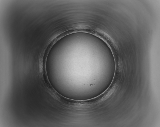 X0000102461065200808151403