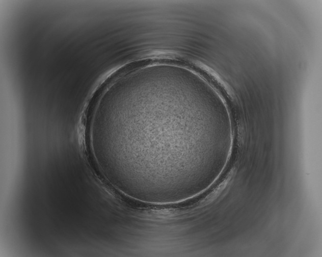 X0000102461066200808151403