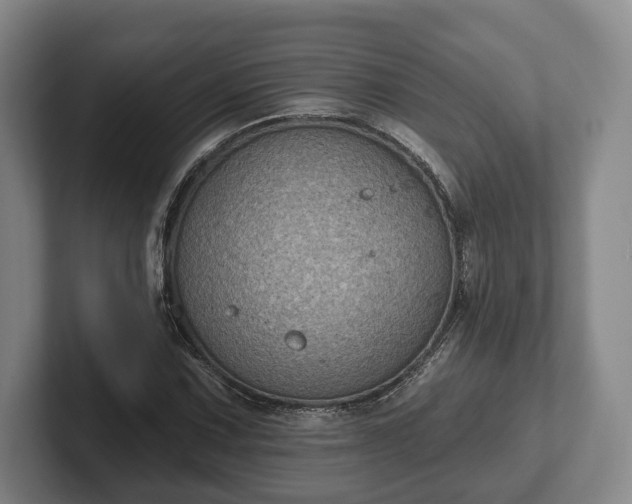 X0000102461067200808151403