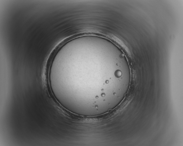 X0000102461068200808151402