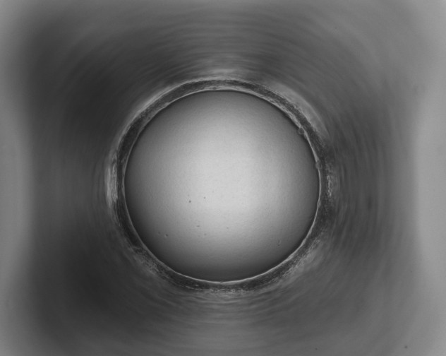 X0000102461069200808151402