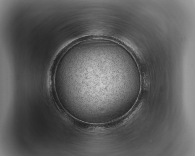 X0000102461070200808151402