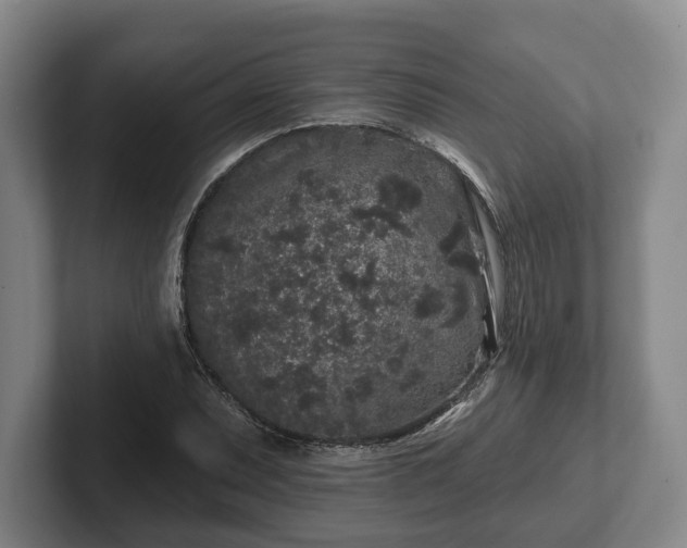 X0000102461071200808151402