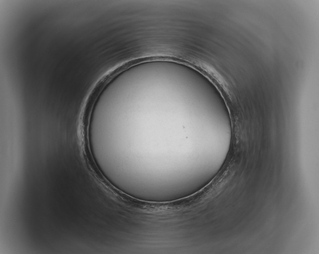 X0000102461072200808151402