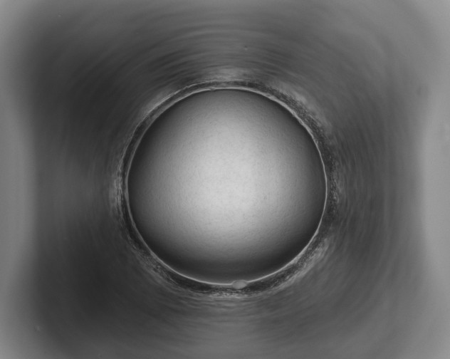 X0000102461073200808151402