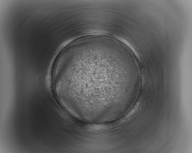 X0000102461074200808151402