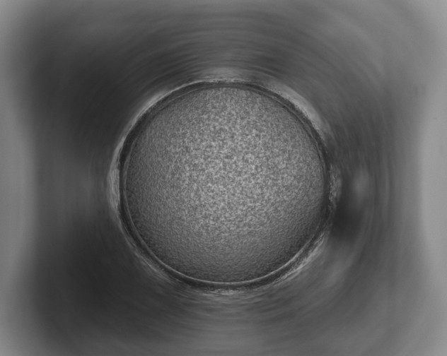 X0000102461075200808151402