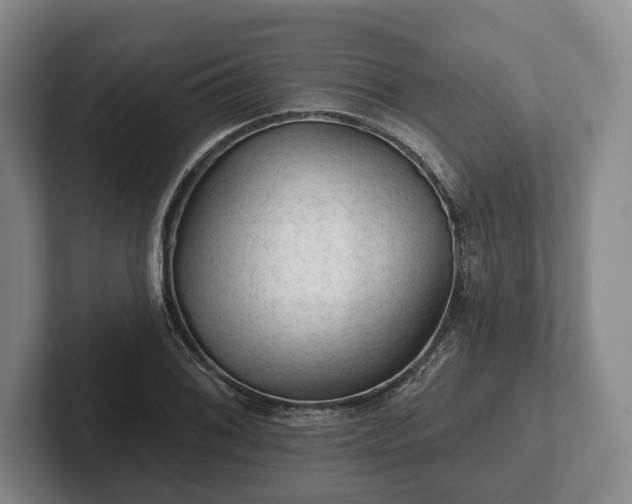 X0000102461076200808151402