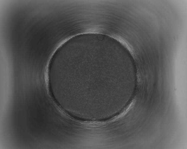 X0000102461077200808151402