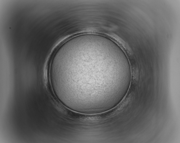 X0000102461078200808151402