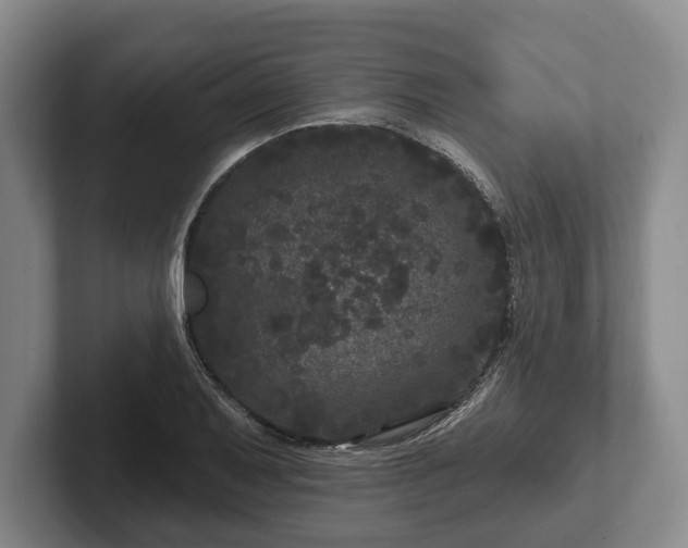 X0000102461079200808151402