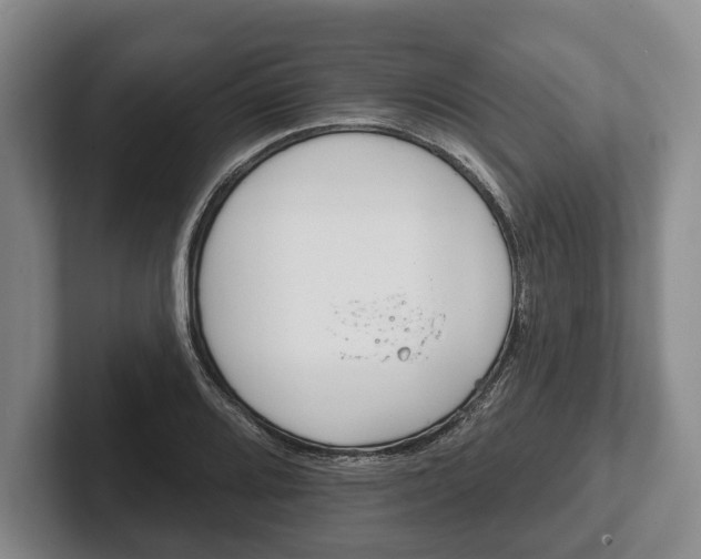 X0000102461080200808151402