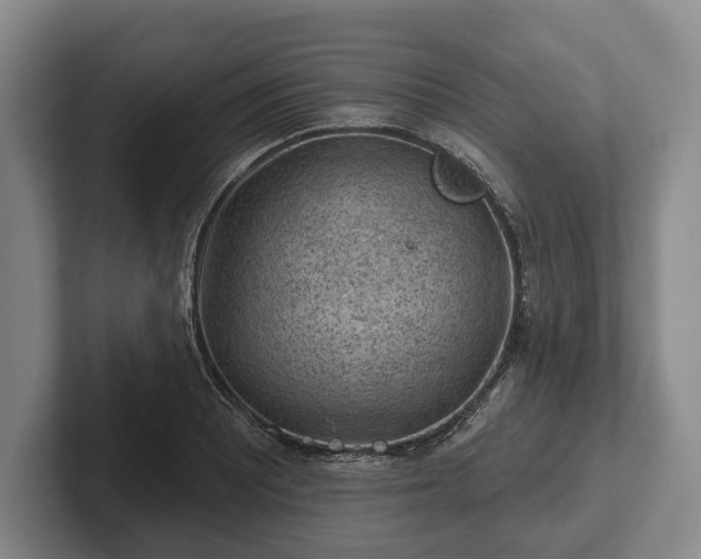 X0000102461081200808151402