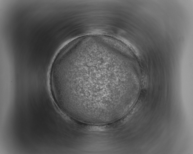 X0000102461086200808151402