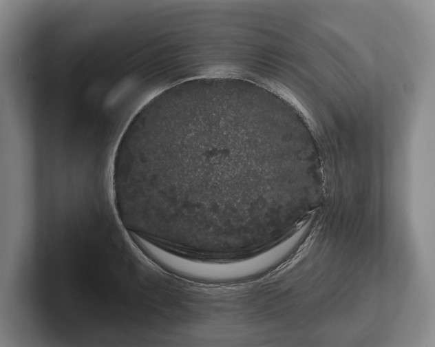 X0000102461087200808151402