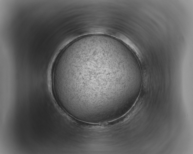 X0000102461088200808151402