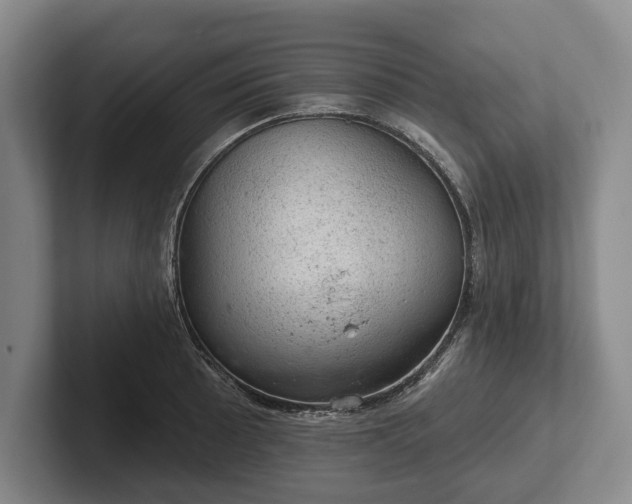 X0000102461089200808151402