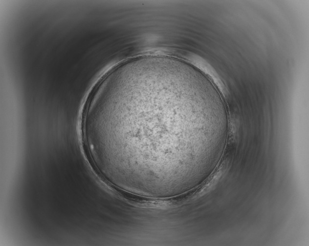 X0000102461090200808151402