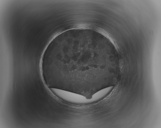 X0000102461091200808151402