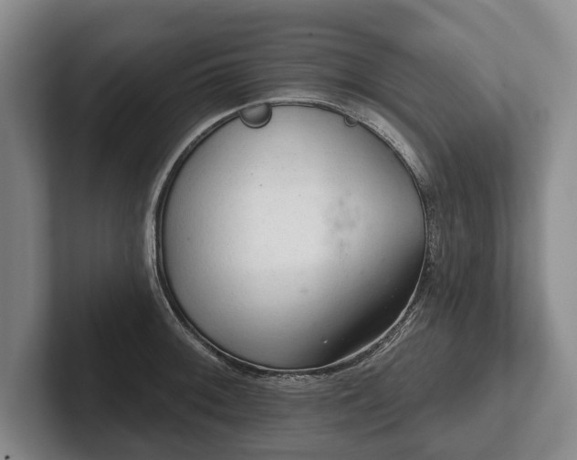 X0000102461092200808151402