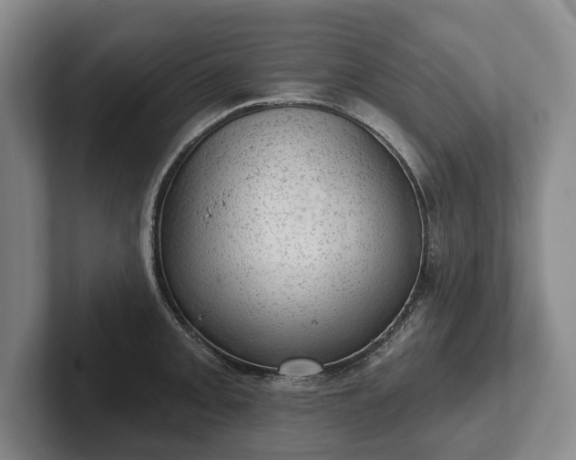 X0000102461093200808151402