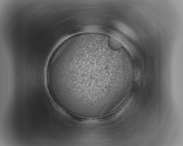 X0000102461094200808151402