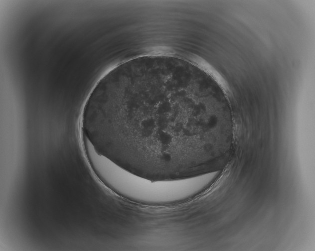 X0000102461095200808151402