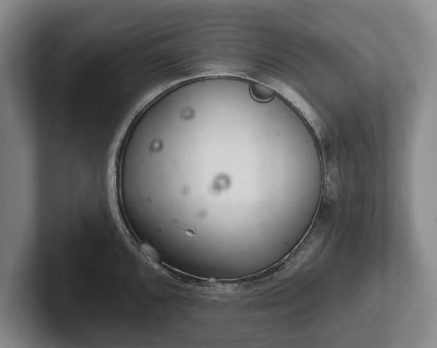 X0000102461096200808151402