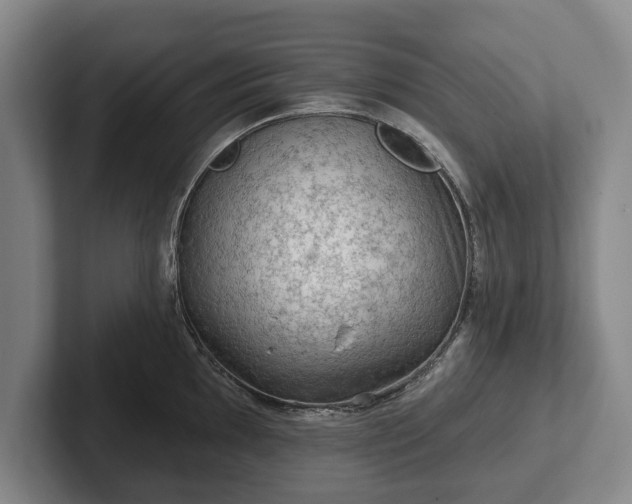 X0000102461097200808151402