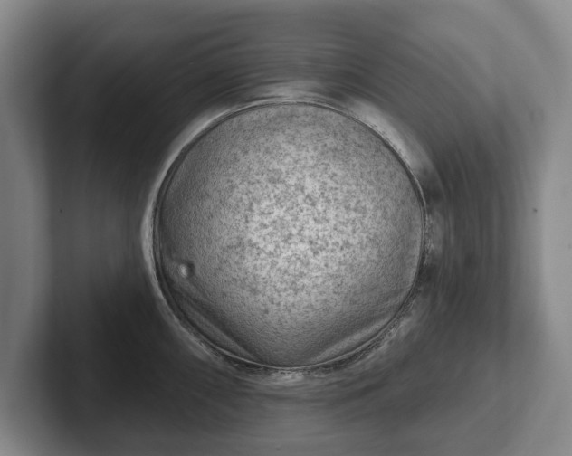 X0000102461098200808151402