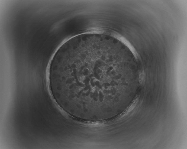 X0000102461099200808151402