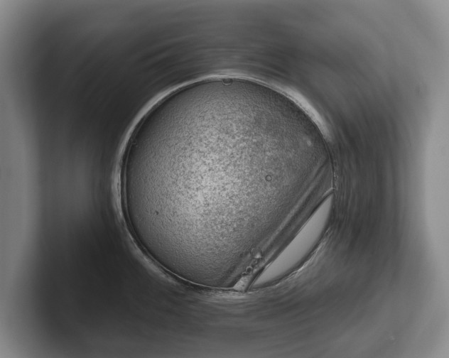 X0000102461100200808151402